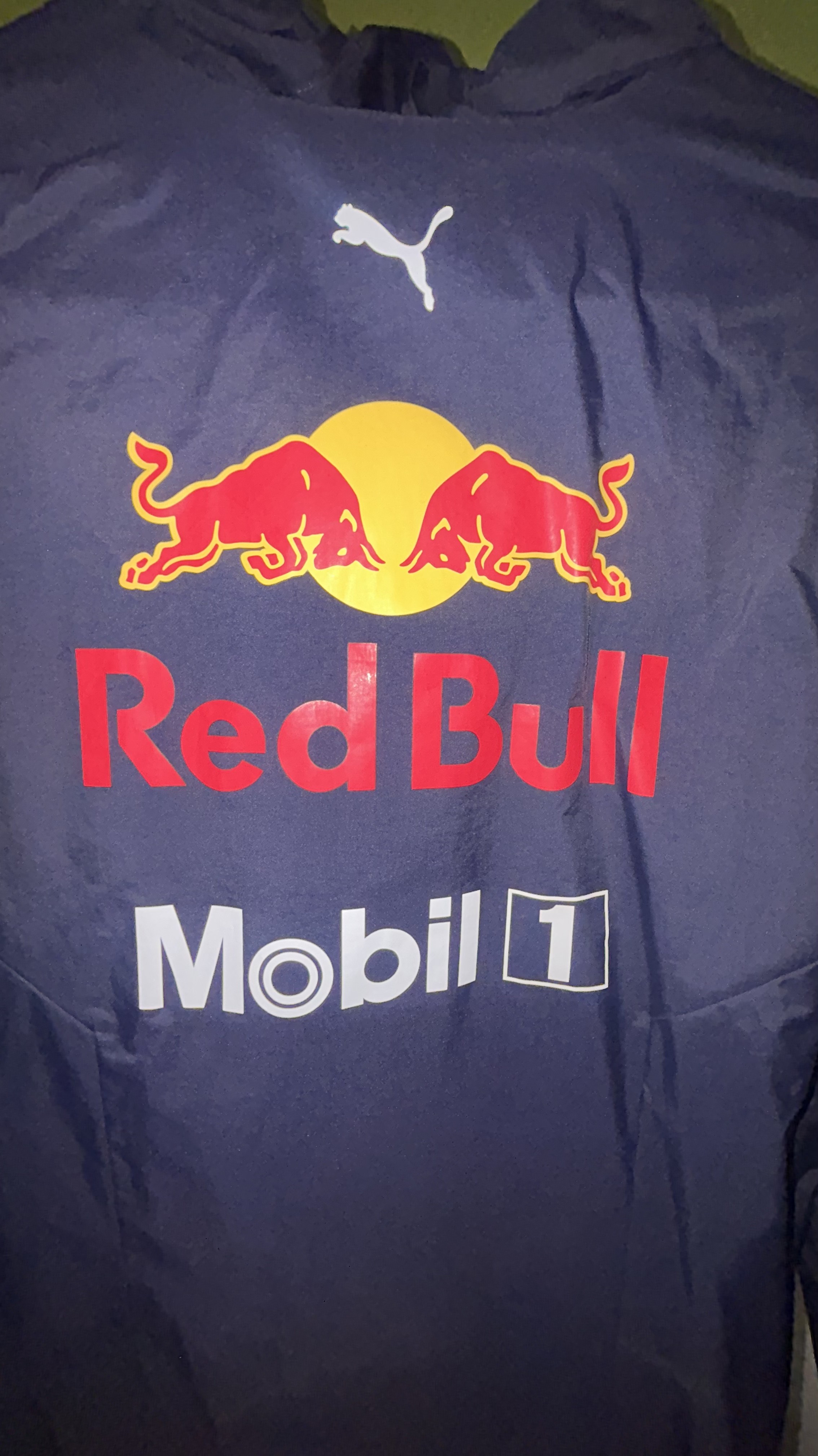 Red Bull Racing Team Windbreaker 2020 โ Red Bull Racing 2020 (4)